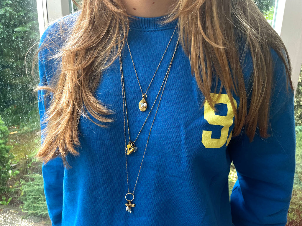 Ketting lang libelle blauw